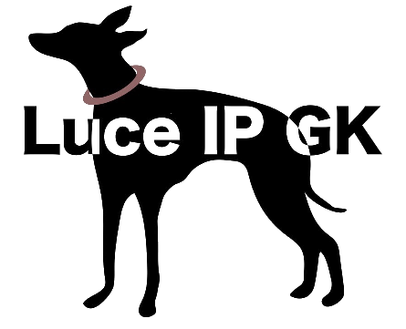 Luce IP